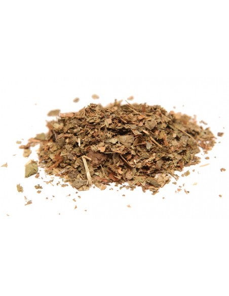 witch hazel leaves BIO