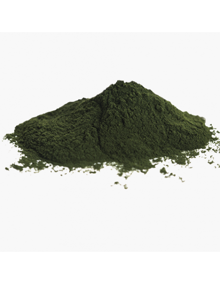 chlorella organic powder