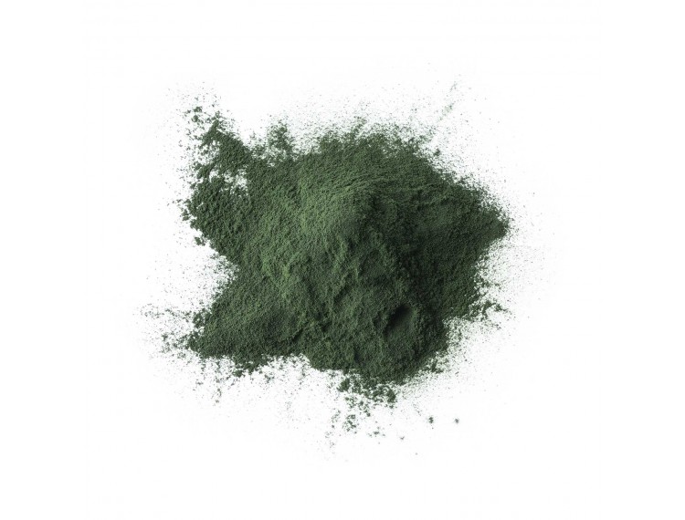 spirulina powder