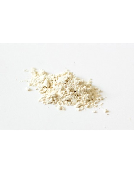 Protein pea powder BIO